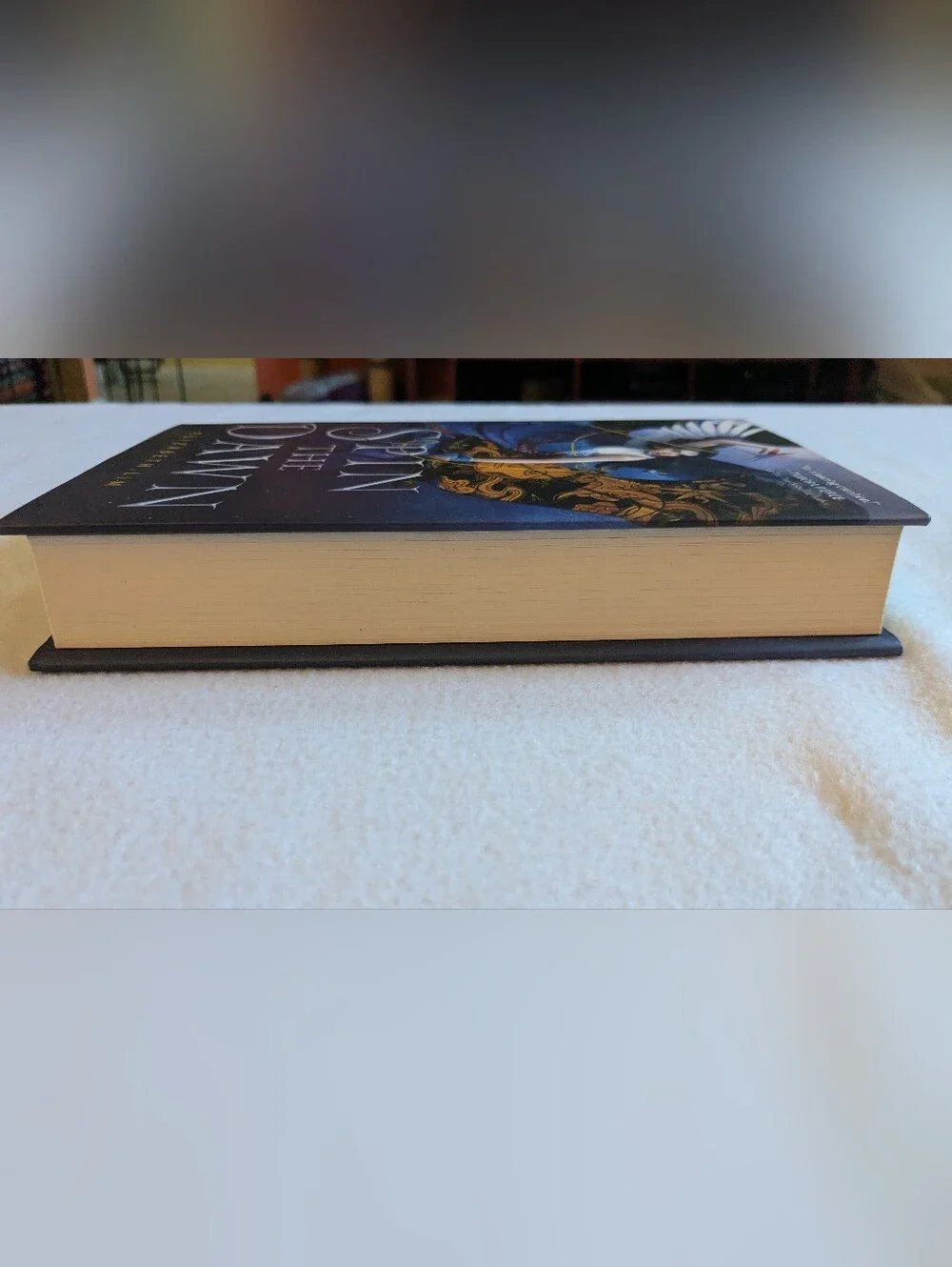 Knopf spin dawn
